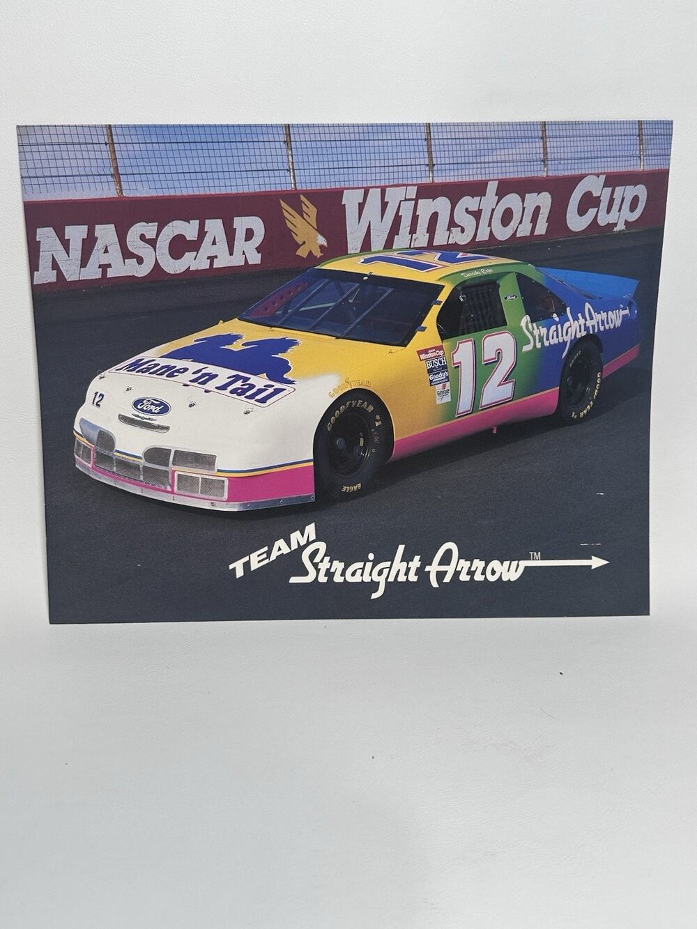 NASCAR Vintage Mane N’ Tail #12 8x10 Poster Handout Racing Memorabilia